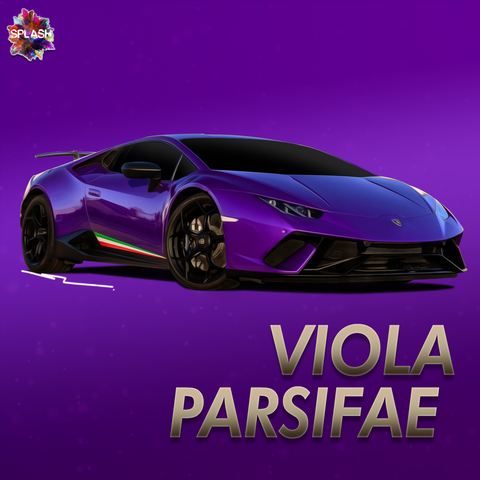SP-135 Viola Parsifae