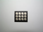PTMC 06- Hood Pins 1/25 scale